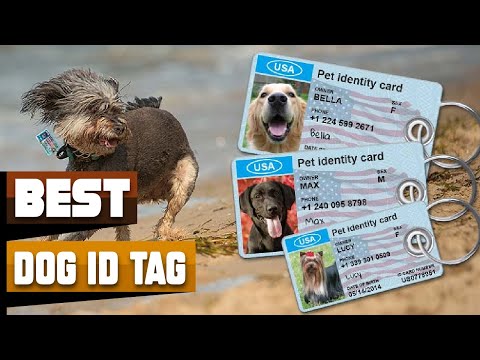 Best Dog ID Tags In 2024 - Top 10 Dog ID Tags Review