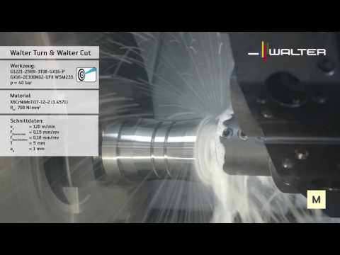 Walter Cut Stech-Bohrstange G1221 - Innenstechen mit kühler Präzision