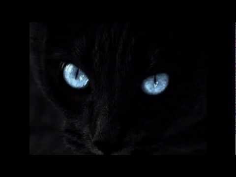 Phelipe ft Dj Bonne   Mikaela Extended Mix