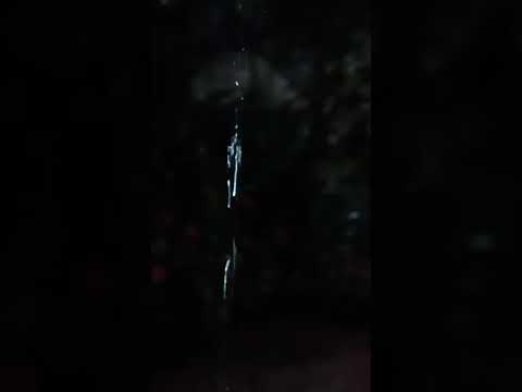 20/01/2026/TERÇA FEIRA CHUVA DE GAMELEIRA GOIÁS.