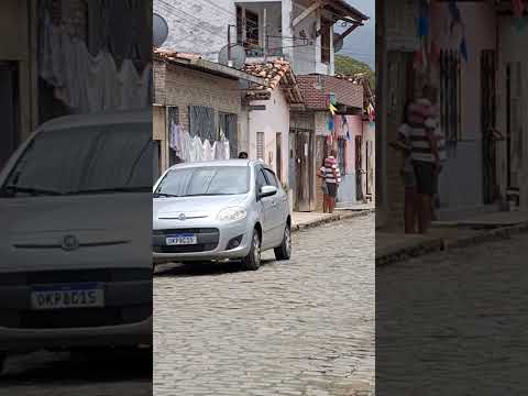 BARRO PRETO BAHIA.  meu cachorro só observando o love dos vizinhos