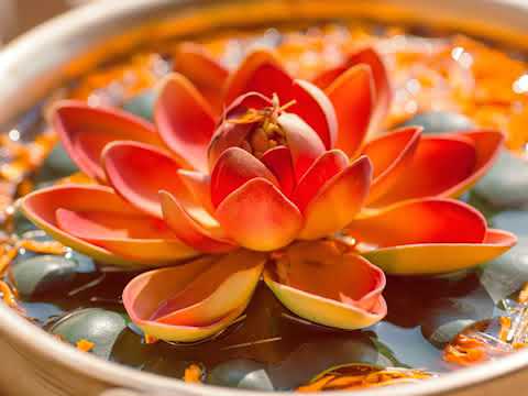 Morning Gongyo - Nam Myoho Renge Kyo 🙏🏻