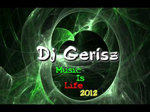 Dj Gerisz - New Year Best Electronic House Hits Mix (2012)