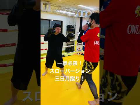 [キックボクシング　格闘技　トレーニング] 一撃必殺！　スローバージョン！　三日月蹴り！　#キックボクシング #格闘技 #トレーニング