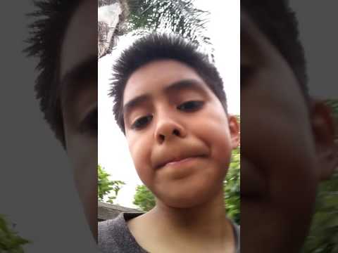 MR.JULIUS STYLES 3.00