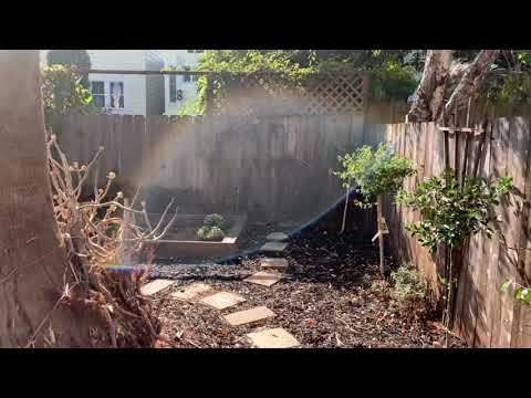 Buyer Preview: 1420 Alabama Street, San Francisco, CA Listed with Vanguard Properties