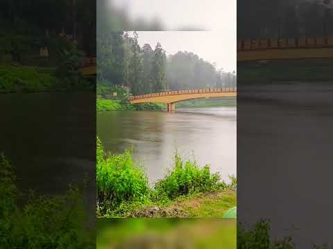 #darjeeling #darjeelingsightseeing #darjeeling_tour #miriklake