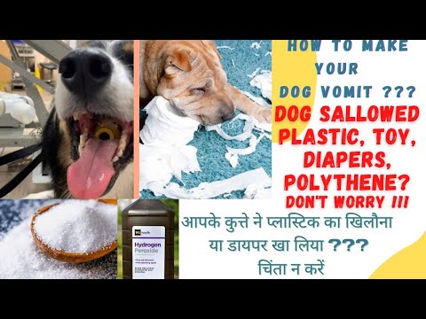 YouTube video about: Will eating a diaper kill my dog?