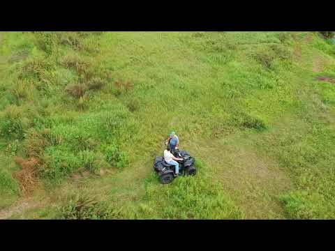 Seyma Beach Resort and SPA summer 2019