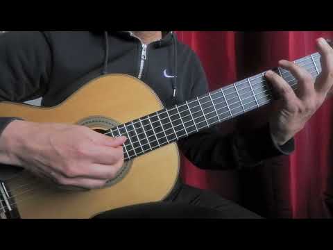 Zamboni: Preludio from Sonata IX ( No-Nails A=415Hz)