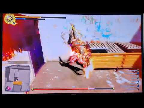 Yakuza in Hawaii Part 2: Das Spiel wird immer besser und besser