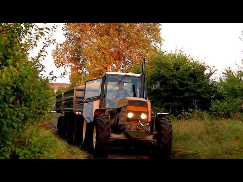 Żniwa 2014 - Ursus 1614 & 2x HL8011 26 ton