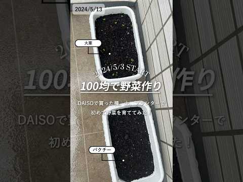 ベランダの植物が倒れるのを防ぐにはどうすればいいですか？効果的な防風アイデア6選！  庭園