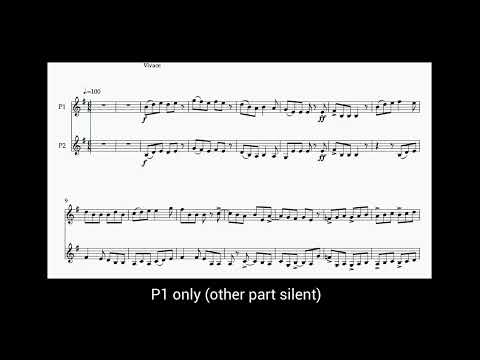 MTB Mandolin Grade 7 Duet "Reel Deal"