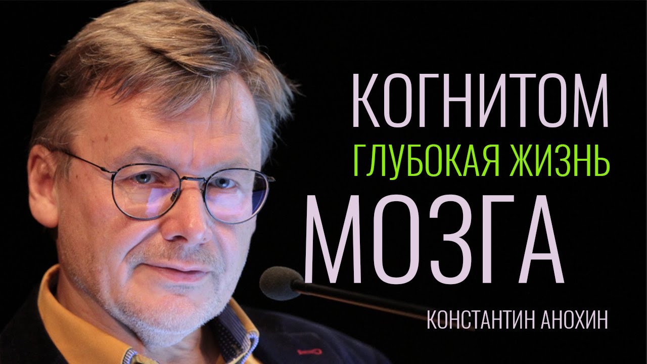 Когнитом — глубокая жизнь Мозга. Константин Анохин
