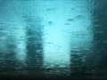 Summer Rain 
