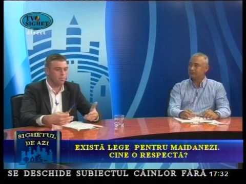 Sighetul de Azi 10 Septembrie - Exista lege pentru maidanezi. Cine o respecta?
