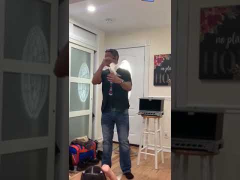 Dove to Rabbit Magictrick