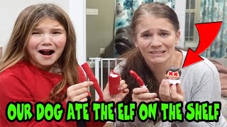 Our Dog Ate The Elf On The Shelf! Can We Save Ellie Sparkle