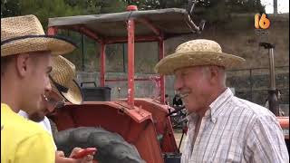 festa-della-trebbiatura-e-del-raccolto-2025-a-zungoli