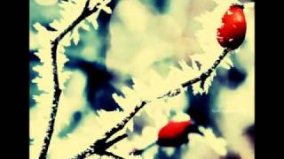 Wake Up - What's Fair - Lyrics in Description