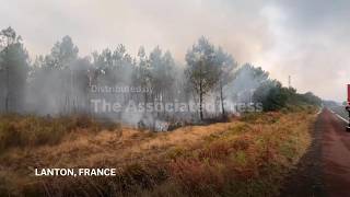 France battles wildfires near Bordeaux; authorities evacuate suburbs as a precaution