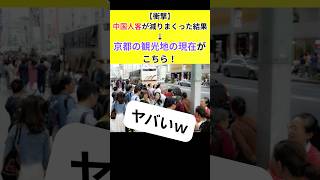 中国人観光客が減りまくった結果、京都の観光地の現在がこちらwww   #外国人 #中国人 #高市早苗 #中国人観光客 #中国 #春節