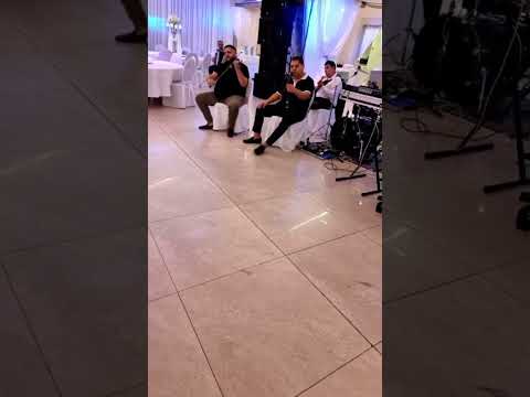 Aca Sisic, Bobi, Belegis…