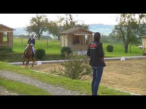 Stute von Boston x Weltmeyer