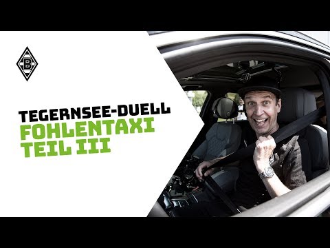 FohlenTaxi - Teil 3 | Das große Finale 🚕🔥
