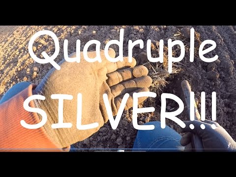 Quadruple Silvers!!!