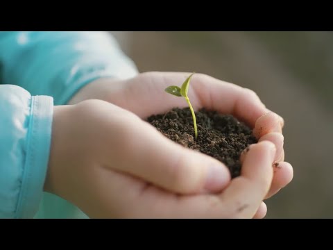 ANCS School Overview