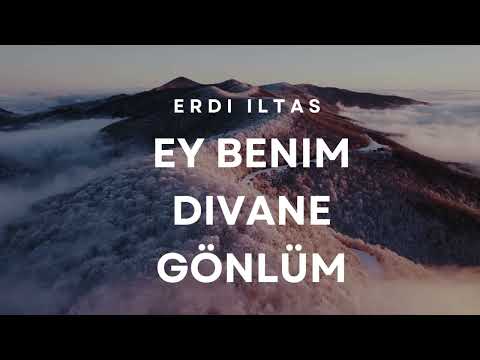 Erdi iltas - Eybenimdivanegönlüm
