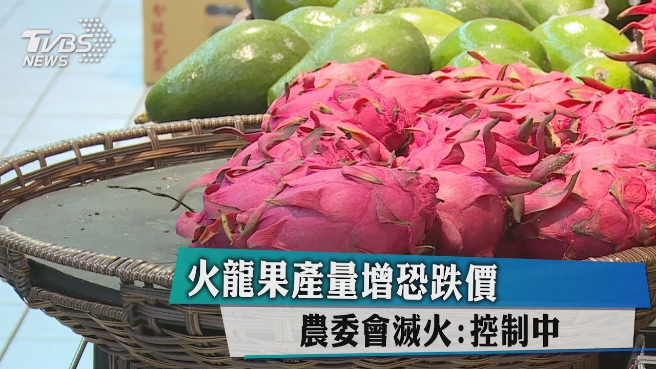 火龍果產量增恐跌價 農委會滅火:控制中
