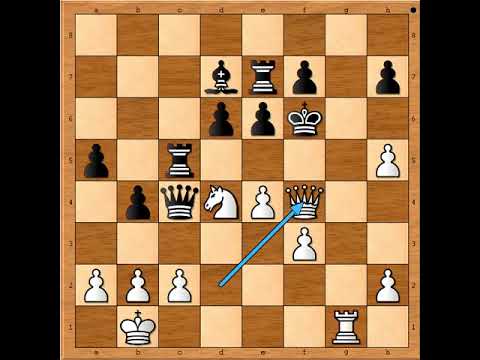 Iznenadni udar kao grom iz vedra neba ⚡⚡⚡💥😇  KREMER vs SCHANDORFF # 2545