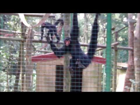 LiL-L - Yo pé  [LLrecordsProd] 2k11