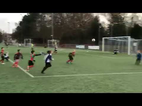 SDO JO8-1 - Zuidvogels