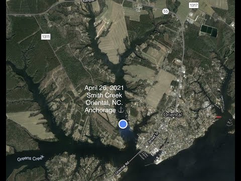image-Are there alligators in Smith Creek Park Wilmington NC?