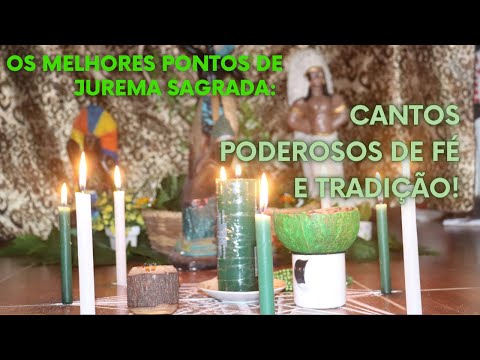 Live Diária: Os Melhores Pontos de Jurema Sagrada