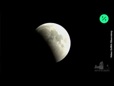 Super Blood Wolf Moon Timelapse