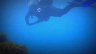 preview picture of video 'BATUMI DIVING CENTER'