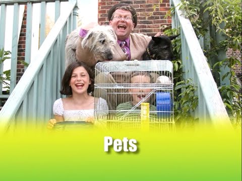 Playway to English 3 - Unit 2 Ex. 10 Pets