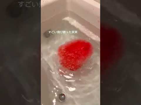 ガイ・G・マッサーについて詳しく解説