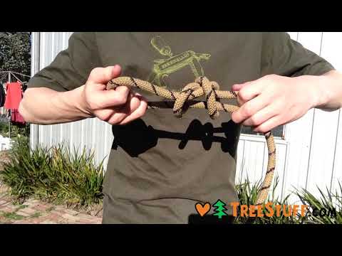 YouTube Thumbnail CbyJj4UsCJs