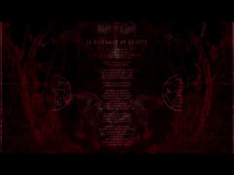 MISANTHROPIC RAGE - In Embrace of Sanity (Official Track Stream)