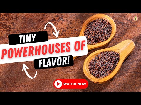 Brown Mustard Seeds 🌱 Tiny Powerhouses for Vibrant Health!
