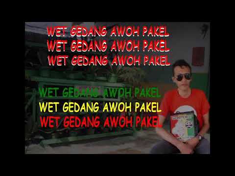 WET GEDHANG AWOH PAKEL