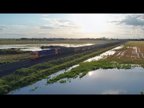 Pacific National 7MC5 Grain Train With G Class Locomotives (5/11/2022) - PoathTV Australian Railways