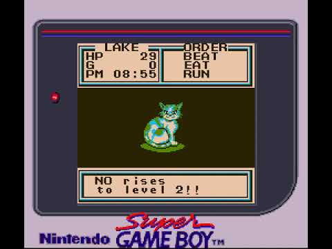 Legend of River King 2 GBC Unused Super Game Boy Palette 1 4