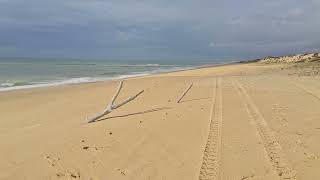 11 Dicembre 2025: Faro --》Praia de Faro --》Vale do Lobo --》Quarteira, Algarve, Portugal